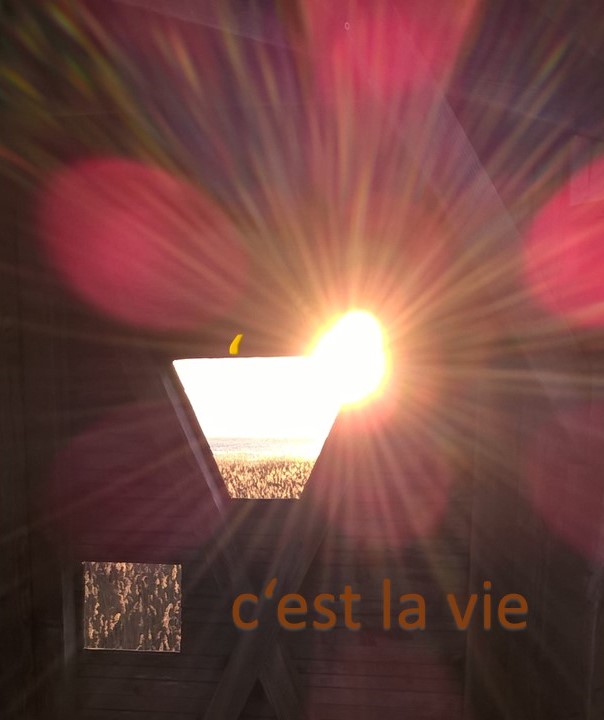 Et si nous découvrions ce que la vie signifie pour nous...